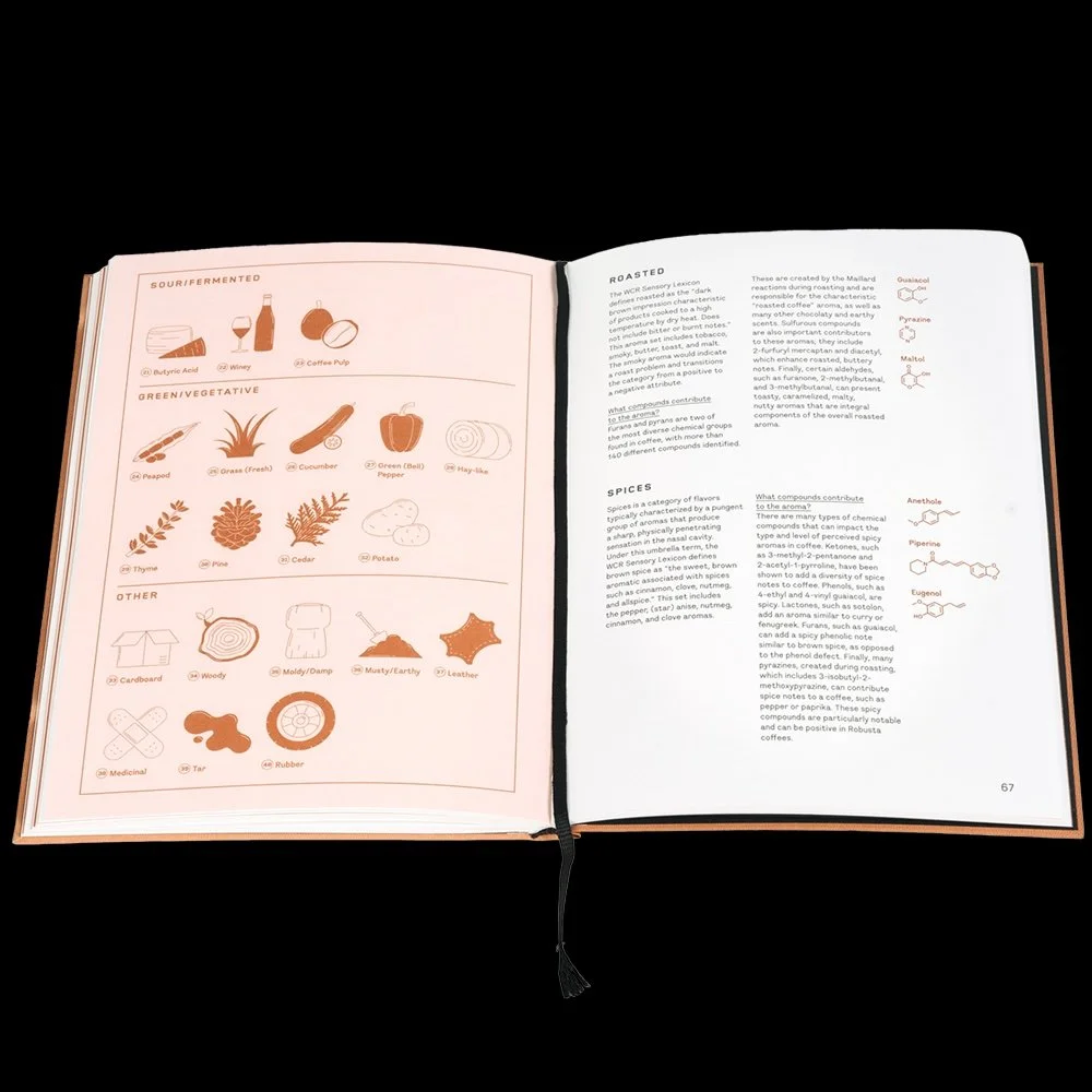 NEW! LE NEZ DU CAFE 2.0 - UPDATED 60 AROMA COFFEE KIT — ROCC